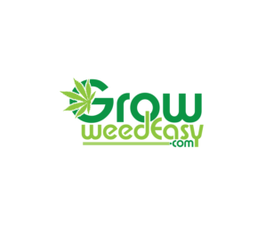 Logo Design by Amirpraboe for this project | Design: #22567496