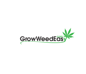 Logo Design by Amirpraboe for this project | Design: #22567497