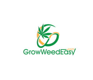 Logo Design by Amirpraboe for this project | Design: #22567498