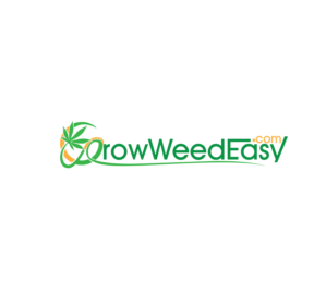 Logo Design by Amirpraboe for this project | Design #22567499