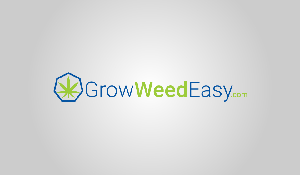 Diseño de Logo por Creativity Master para este proyecto | Diseño #22579445