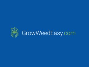 Logo Design by mvdesignmvdesign
