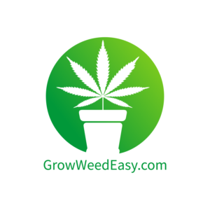 Logo Design by PotatoPoL for this project | Design: #22565686