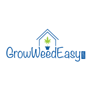 Logo Design by Dezign Hook