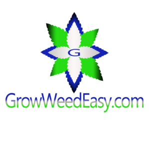 Logo Design by ds_art