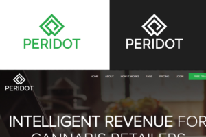 Logo-Design von ivo_i_ivanov für Taggart Media Group | Design: #22583315