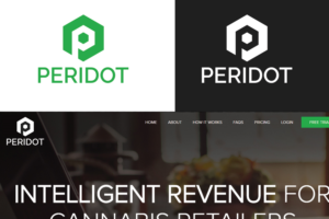 Logo-Design von ivo_i_ivanov für Taggart Media Group | Design: #22583326