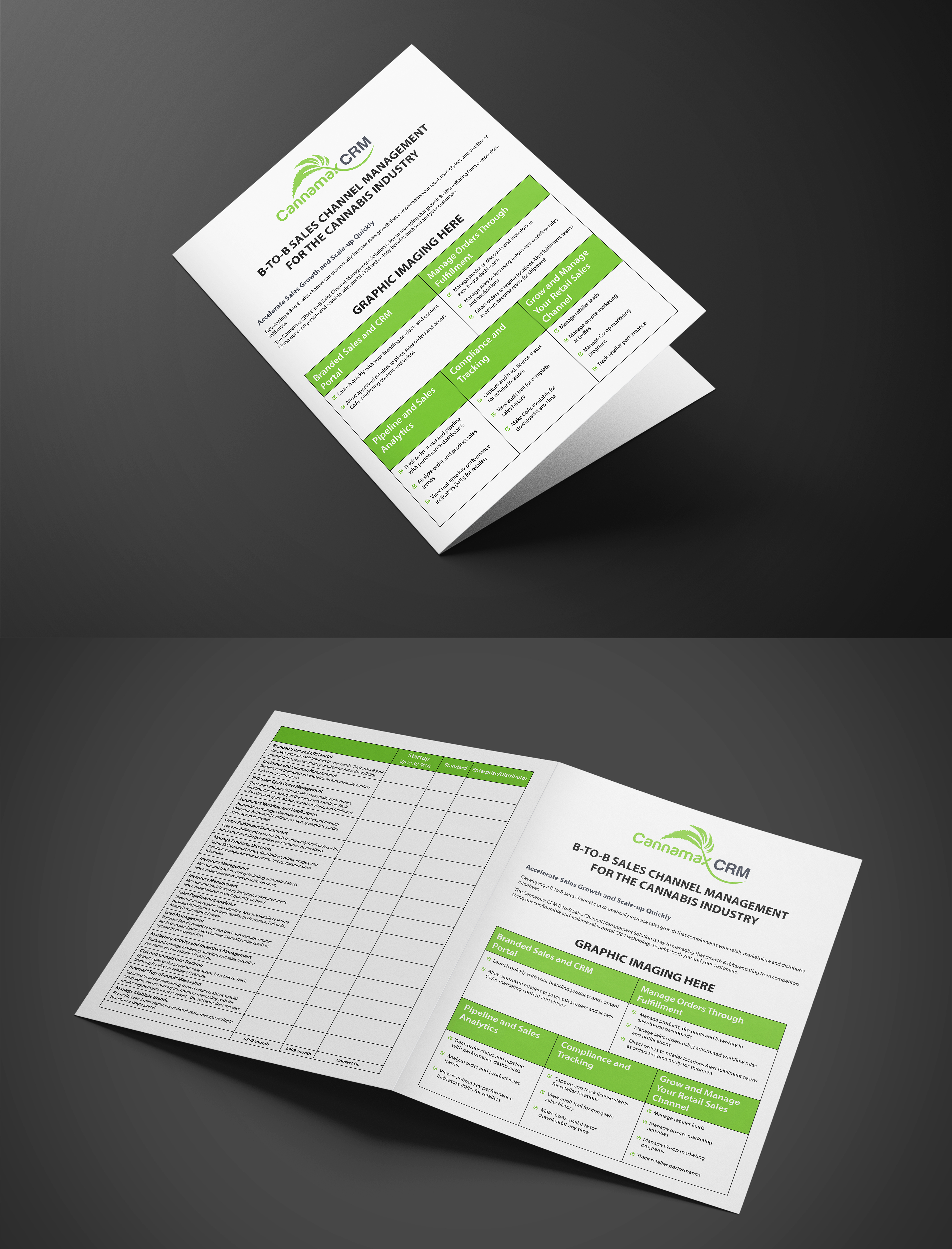 Brochure Design by GraphicsGuru for this project | Design #22584644