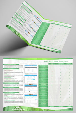 Brochure Design for B-to-B software company | Brochure Design by Adnan.design