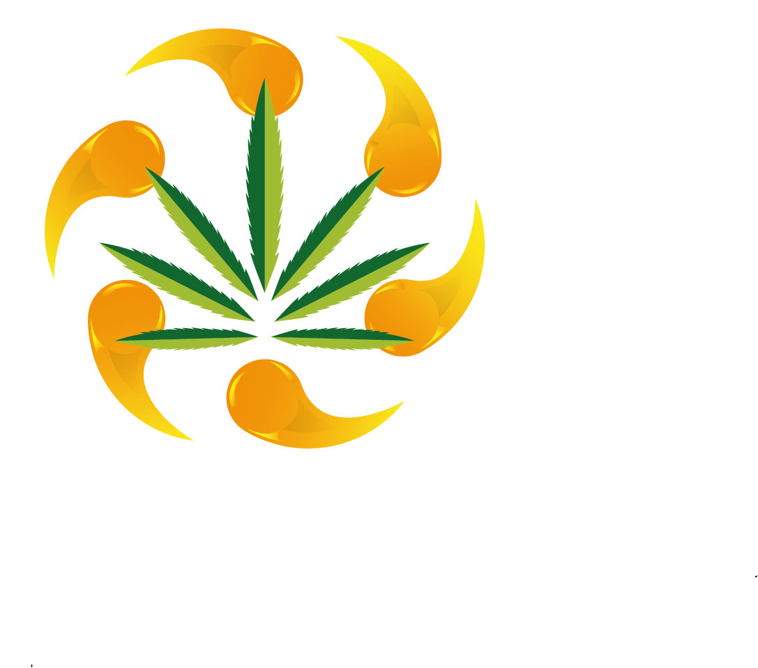 Logo-Design von Kashan Ahmed für dieses Projekt | Design #22593815