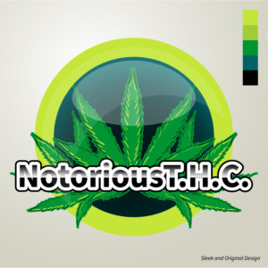 Diseño de Logo por owlandcatdesign para este proyecto | Diseño: #22625298