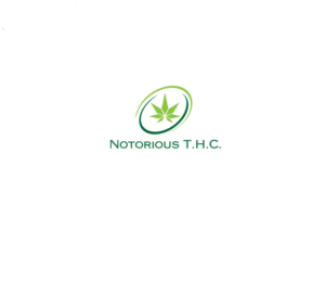 Logo Design by instudio for this project | Design: #22595408