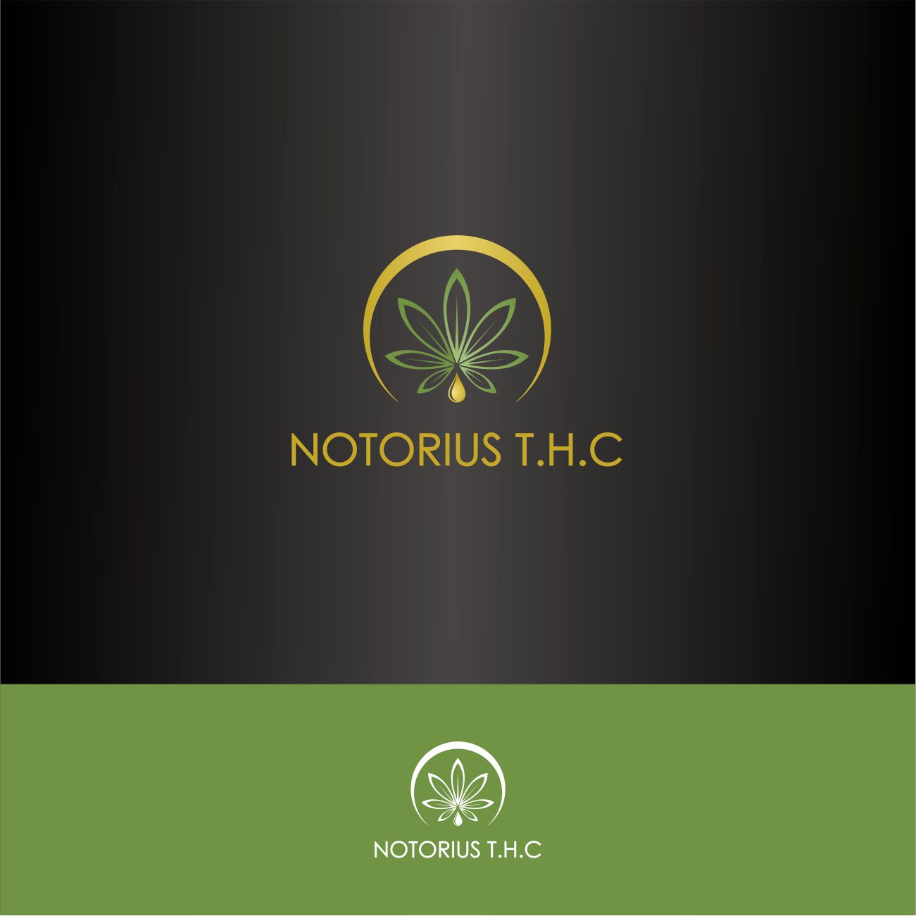 Diseño de Logo por triasmoro para este proyecto | Diseño #22600933