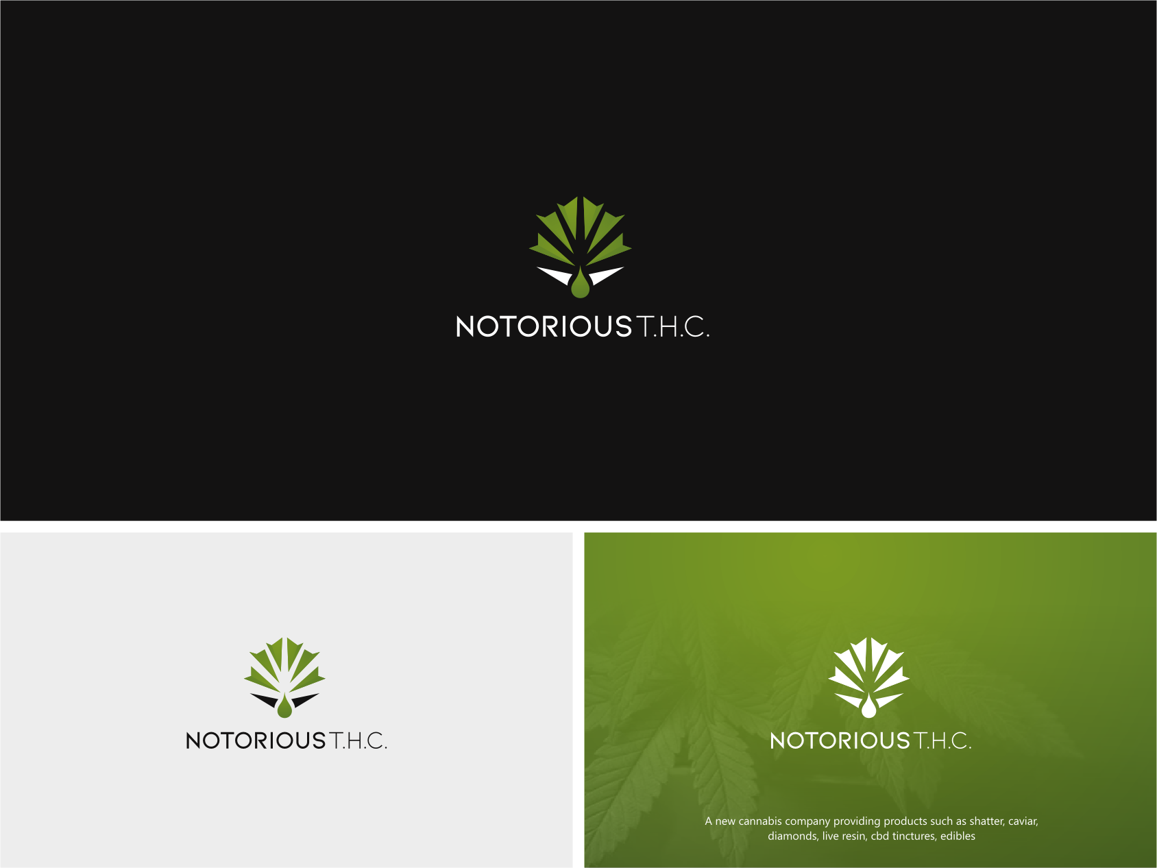 Logo Design by CKS d e s i g n for this project | Design #22585860