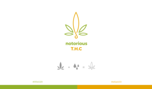 Logo Design by Pallab181