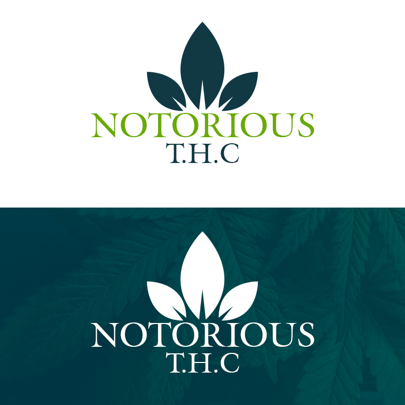 Logo Design by Webphin-Creative Designer for this project | Design #22582438