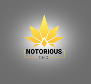 Logo Design by ShinnX