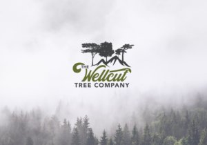 Logo Design by Alex Petersen
