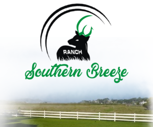 Graphic Design by NN Design for this project | Design: #22613415