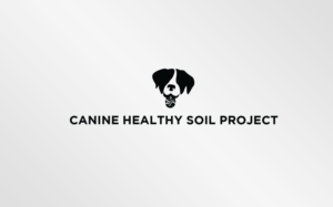 Logo Design by MT