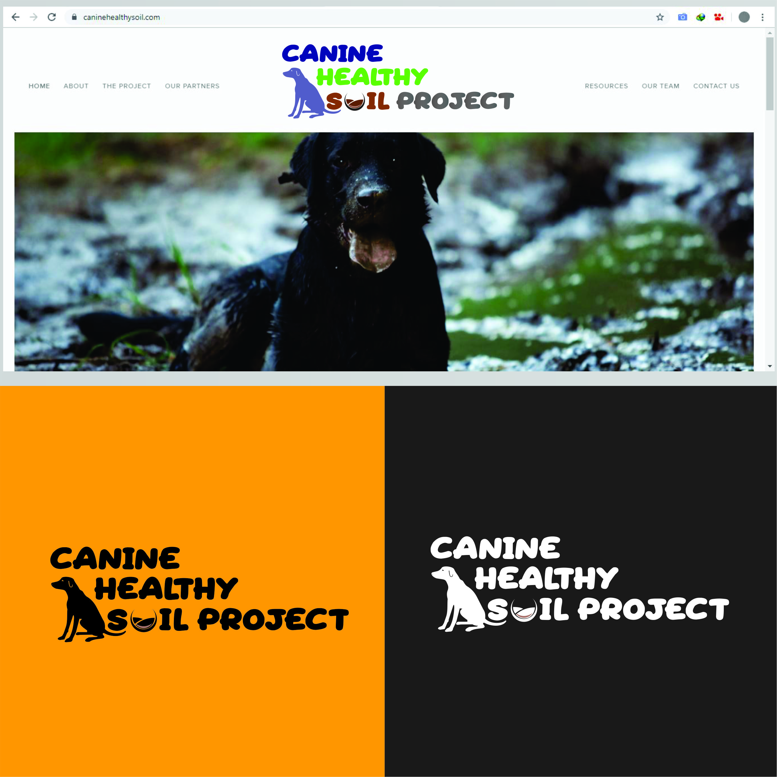 Logo Design by dorna 2 for netpetnutrition | Design #22649395