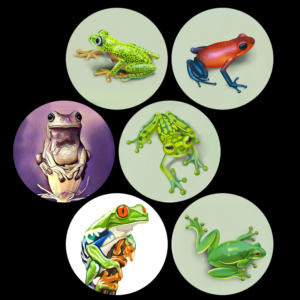 Graphic Design by Moumita 6 for Teacher stickers | Design: #22611635