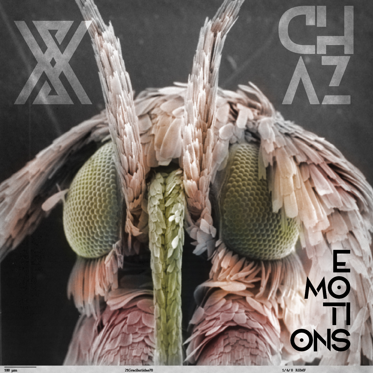 CD Cover Design by Xunghar for this project | Design #22667112