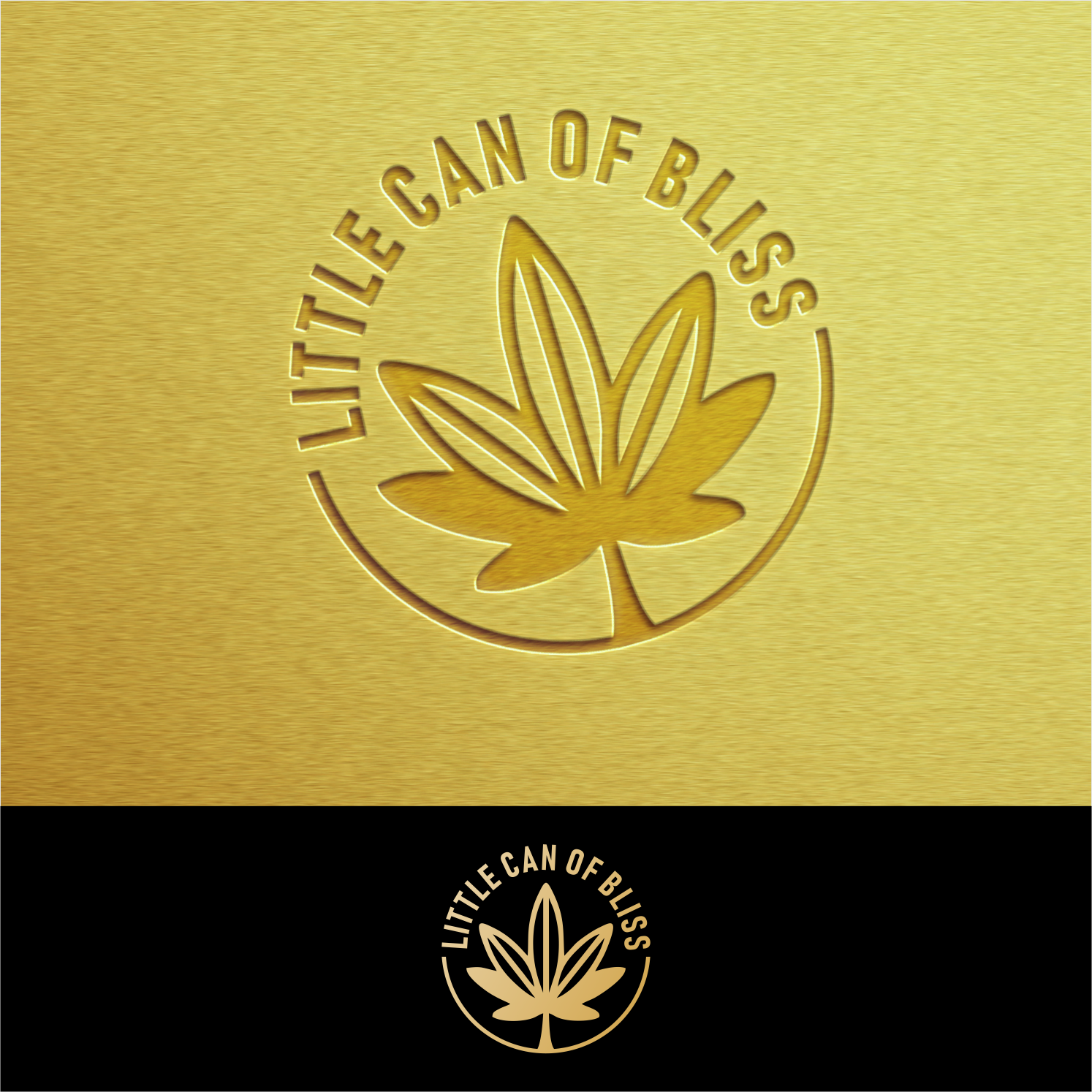 Logo Design by kolevvp for this project | Design #22618392