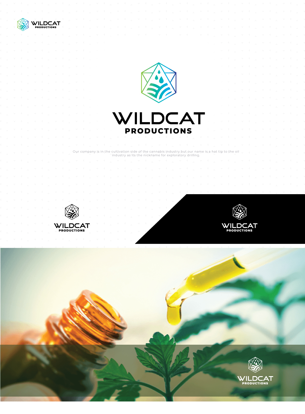Logo-Design von DiMartero für dieses Projekt | Design #22630617