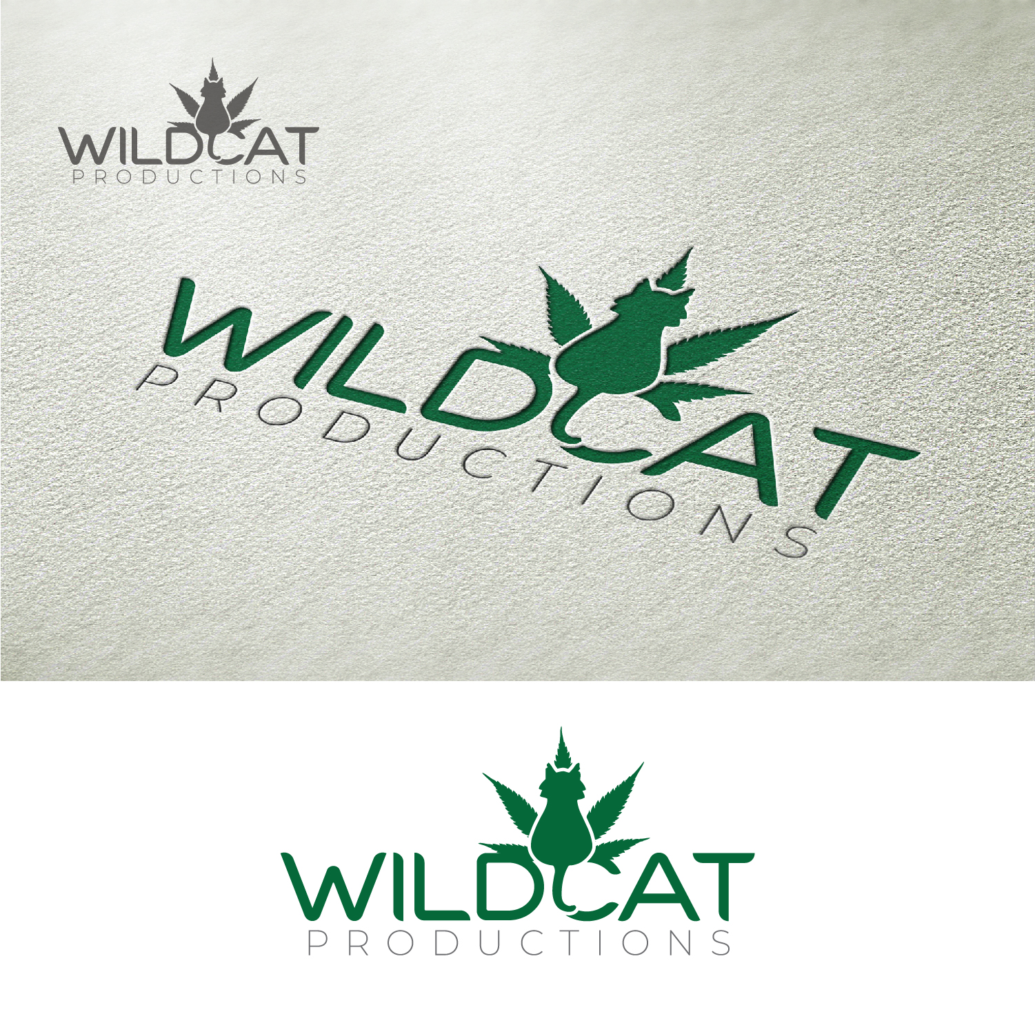 Design de Logo par Maxo-Biz pour ce projet | Design #22623300