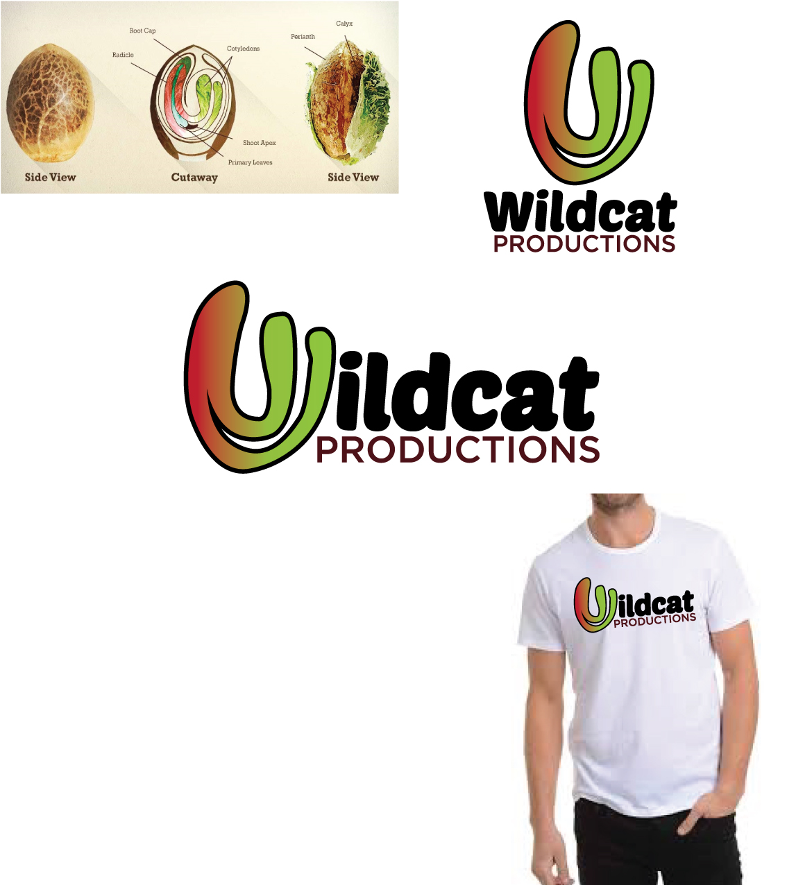 Diseño de Logo por CHINUM03 2 para este proyecto | Diseño #22622177