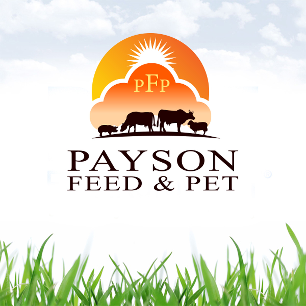 Logo Design by Wonderful design for this project | Design #22625274