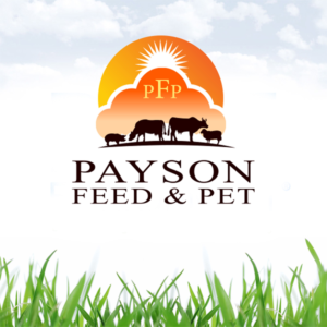 Logo Design by Wonderful design for this project | Design: #22625274