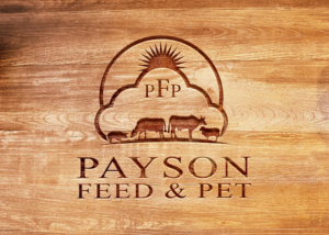 Logo Design by Wonderful design for this project | Design: #22625275