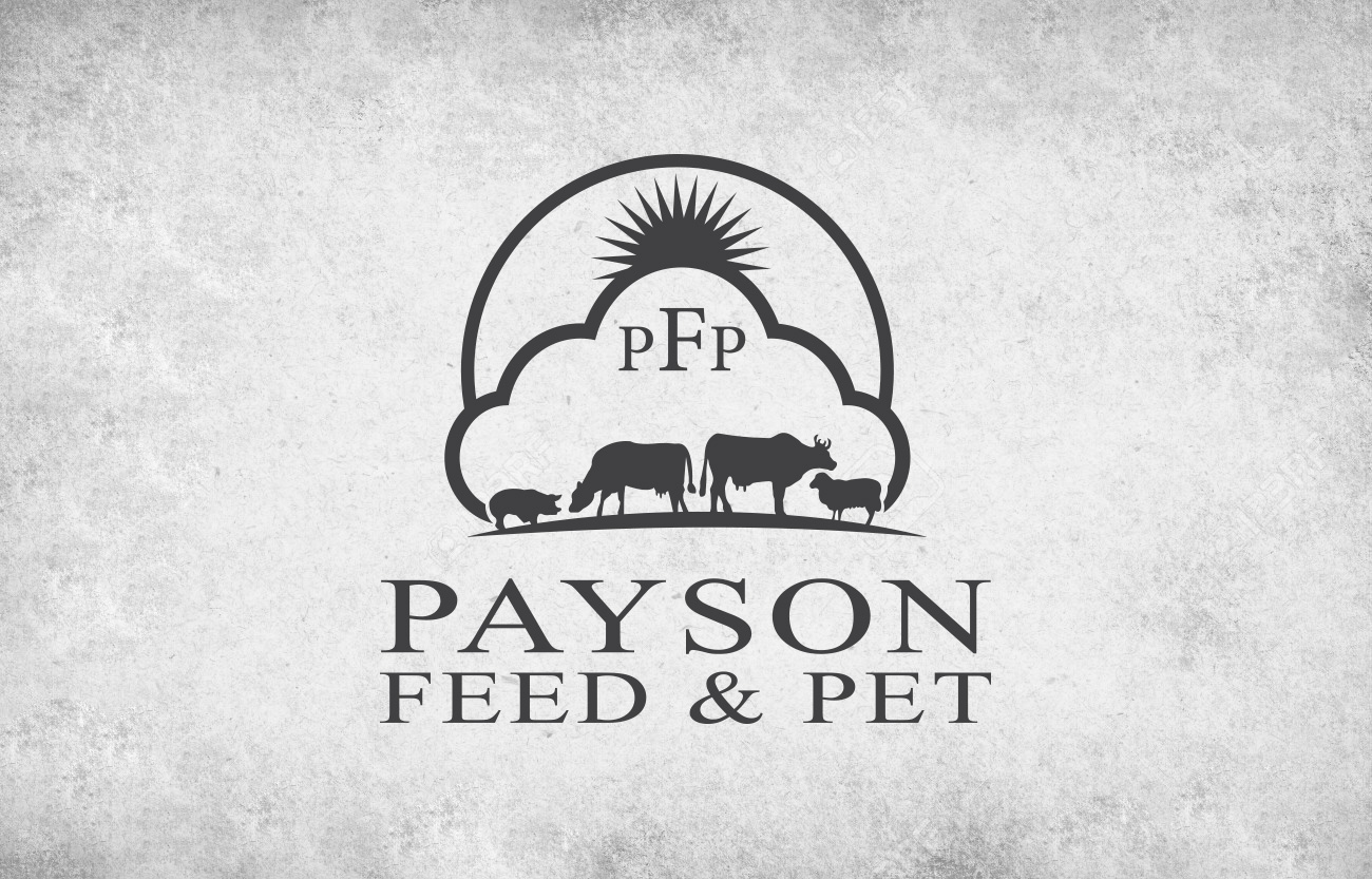 Logo-Design von Wonderful design für dieses Projekt | Design #22625428