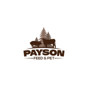 Logo Design by ESolz Technologies