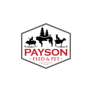 Logo Design by Muhammad Imran 3 for this project | Design: #22623374