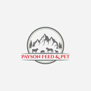 Logo Design by 26 Studio for this project | Design #22623930