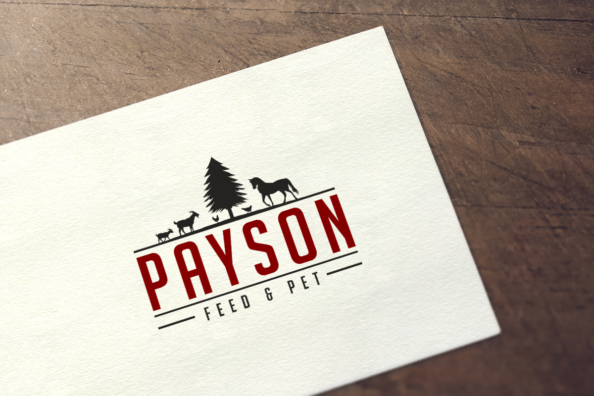 Diseño de Logo por CreativeBaba para este proyecto | Diseño #22623192