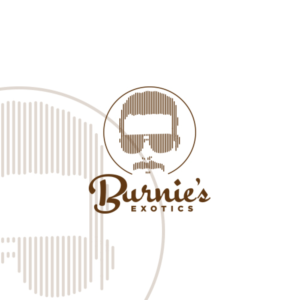 Design de Logo par eradesigns pour ce projet | Design : #22671115