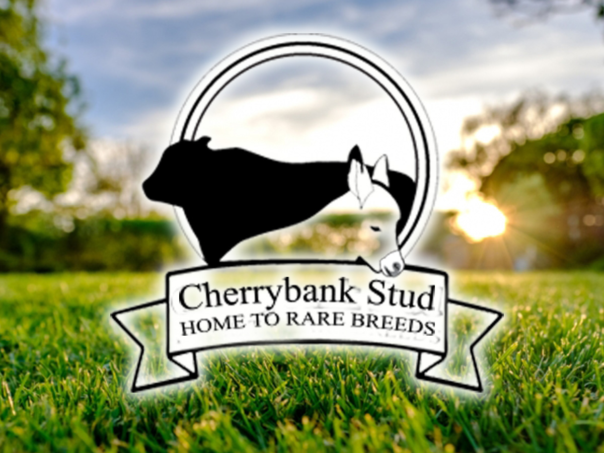 Diseño de Logo por Wonderful design para este proyecto | Diseño #22632691