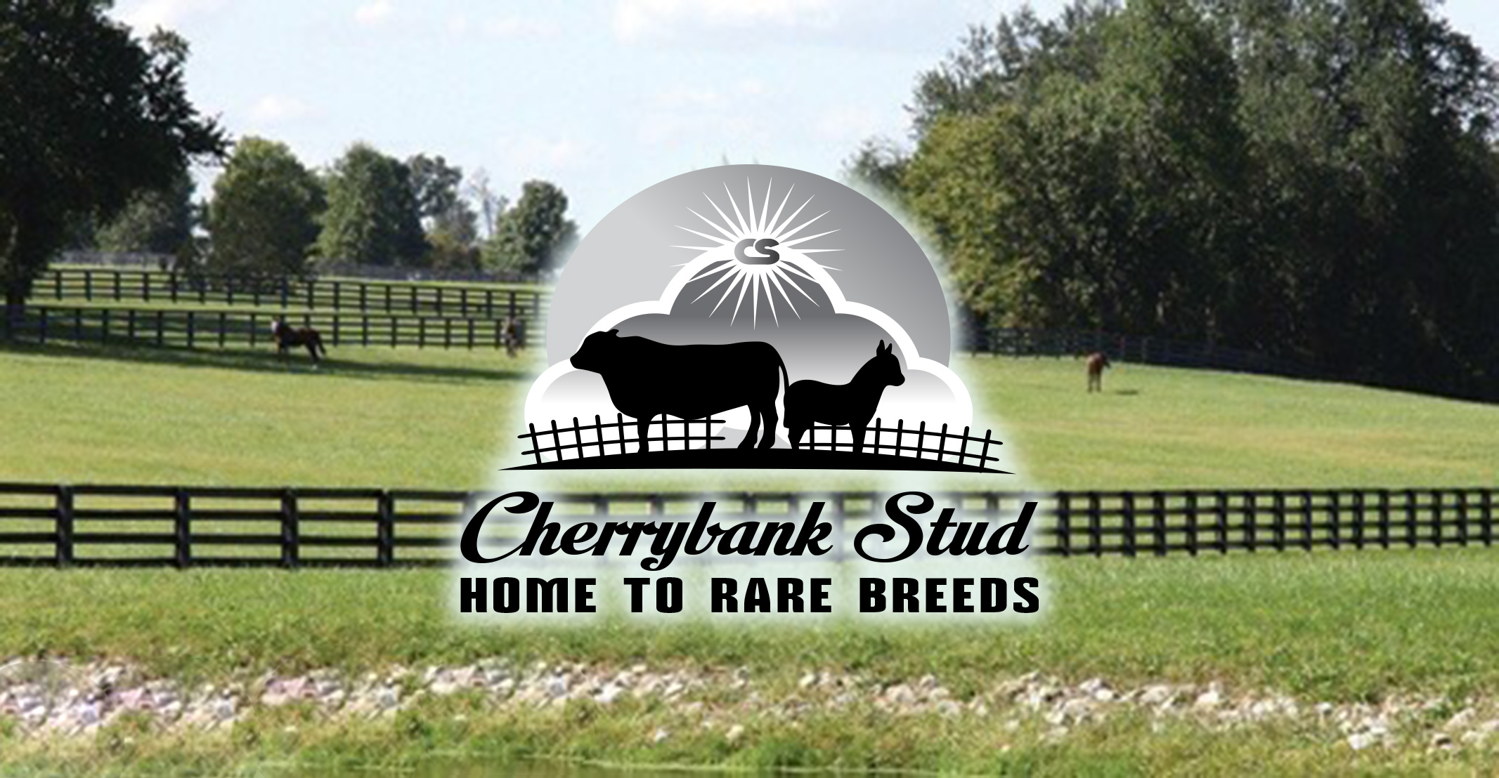 Diseño de Logo por Wonderful design para este proyecto | Diseño #22638897