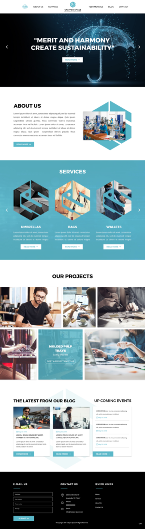 Web Design by pb for Calypso Space SL | Design: #22665171