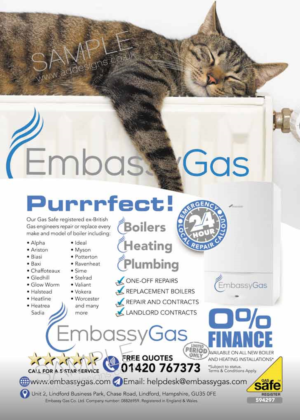 Design for UK based Plumbing & Heating Company | Flyer Design by the artworks