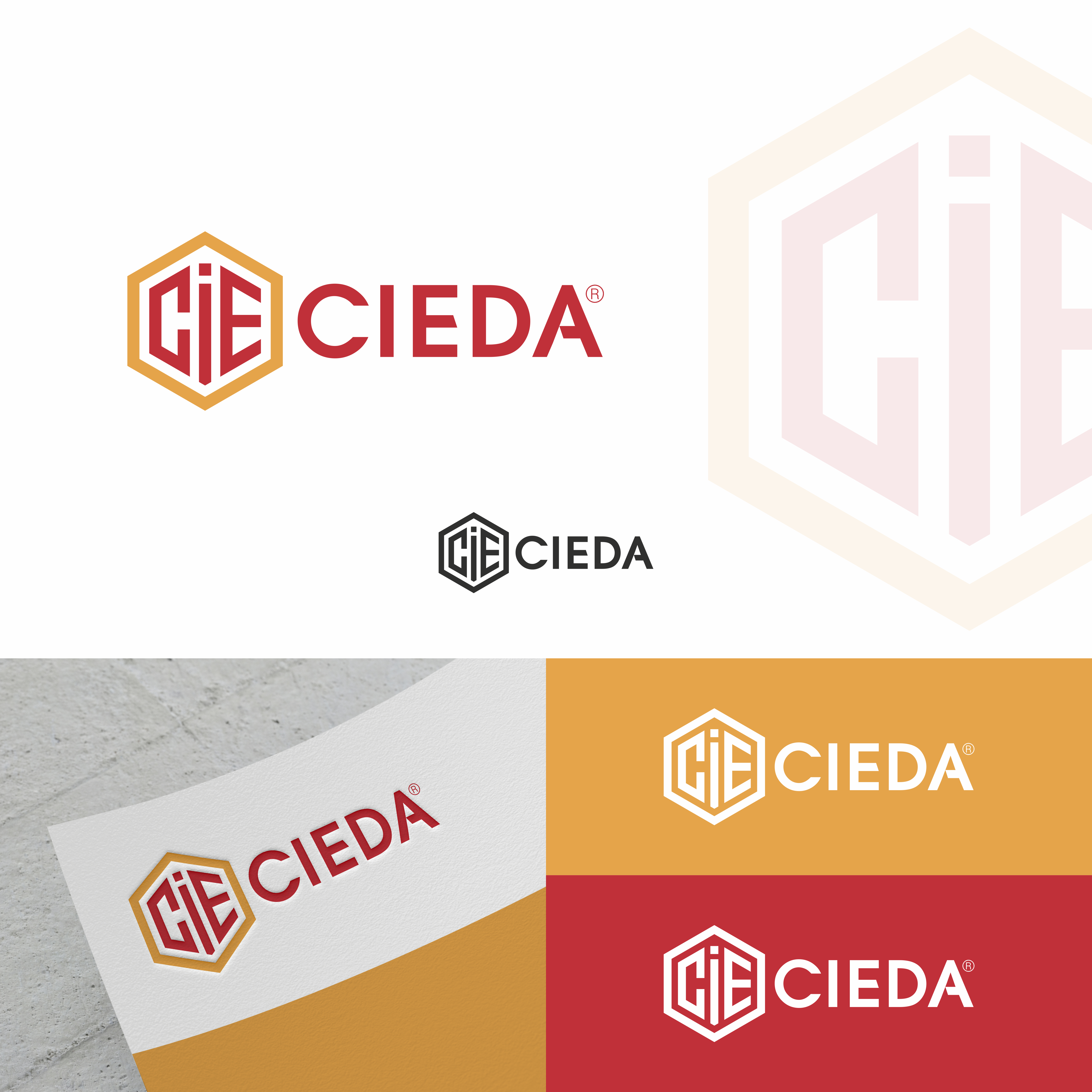 Logo Design by vishalscreativeworld 2 for CIEDA | Design #22652517