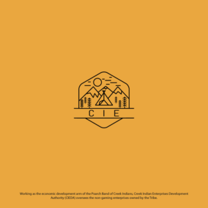 Logo Design by 4tech services for CIEDA | Design: #22727222