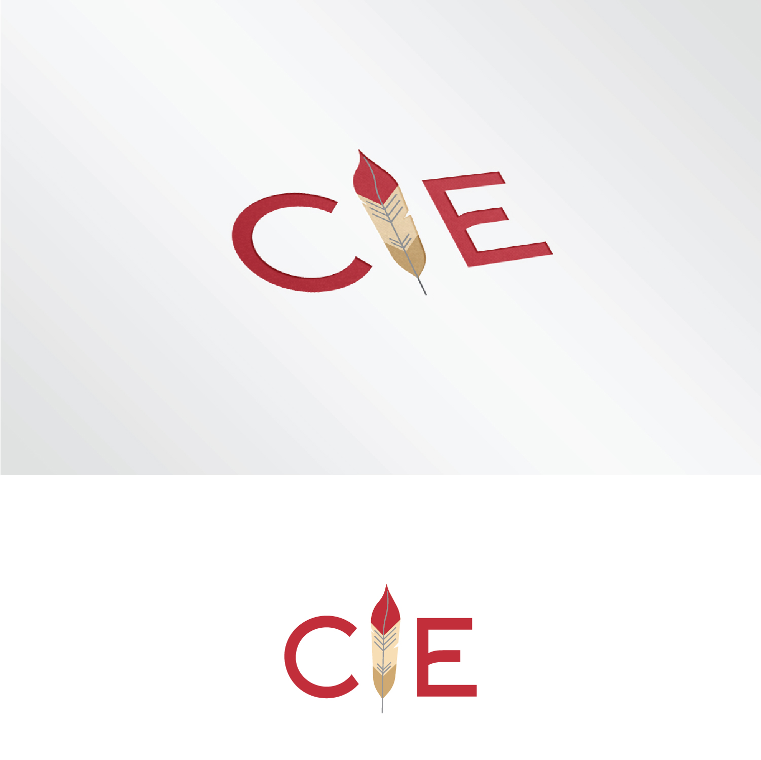 Logo Design by Maxo-Biz for CIEDA | Design #22632008