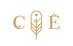 Logo Design by Fiki Purnama for CIEDA | Design: #22642904