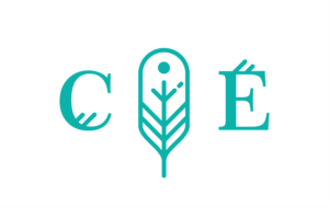 Logo Design by Fiki Purnama for CIEDA | Design: #22642908