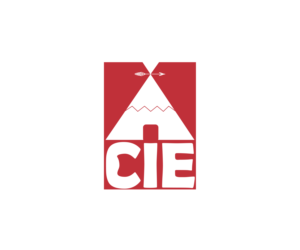 Logo Design by Voom_design for CIEDA | Design: #22631818